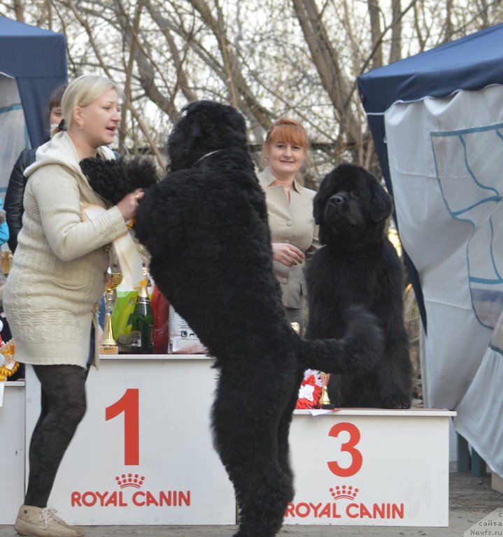 Фотография № 180301