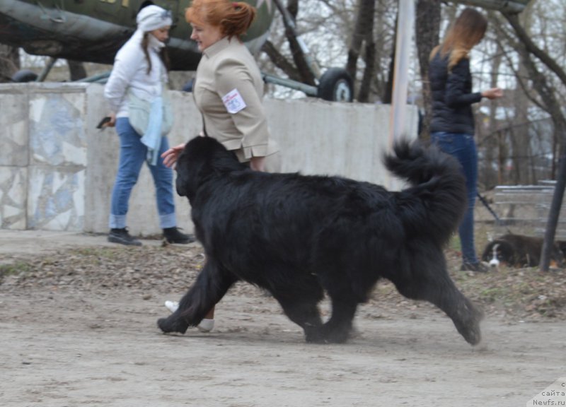 Фотография № 180308