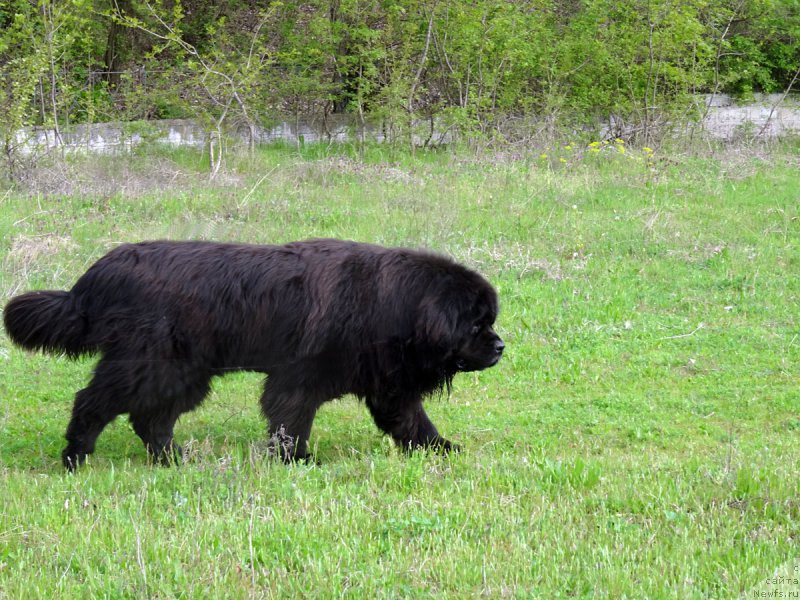 Фотография № 180329