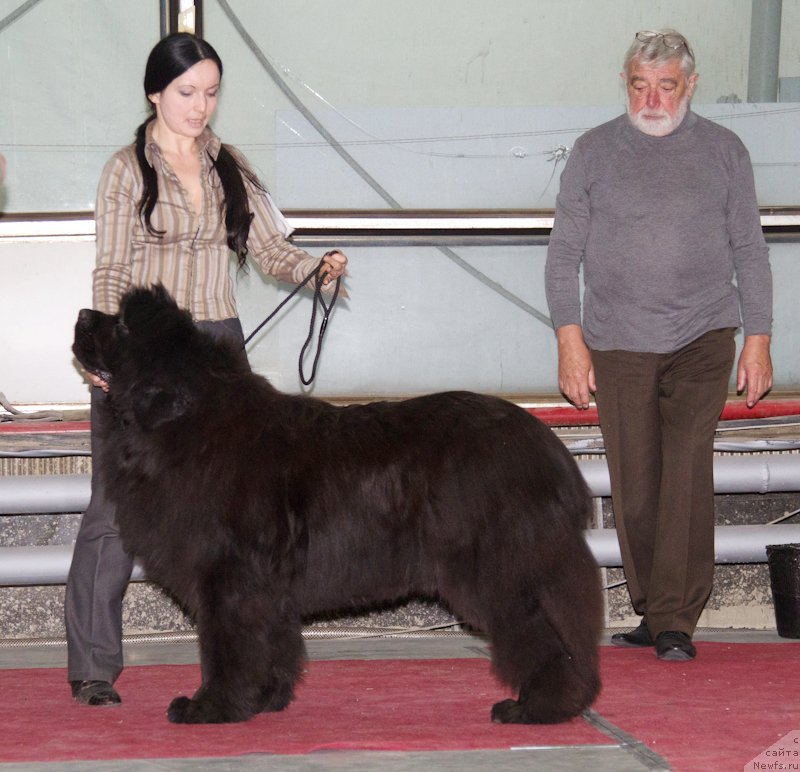 Фотография № 180344