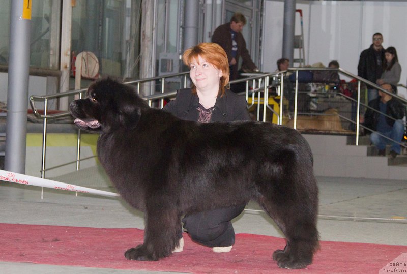 Фотография № 180347