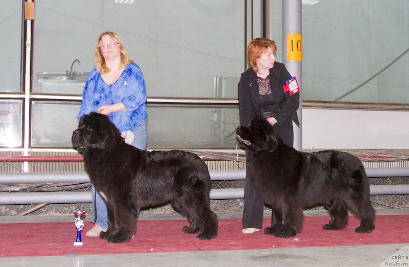 Фотография № 180348