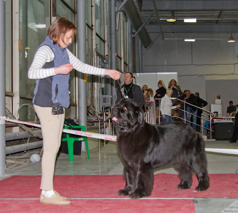 Фотография № 180358