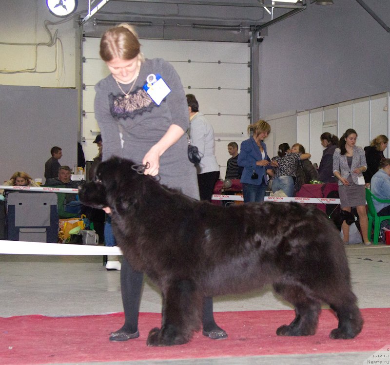 Фотография № 180359