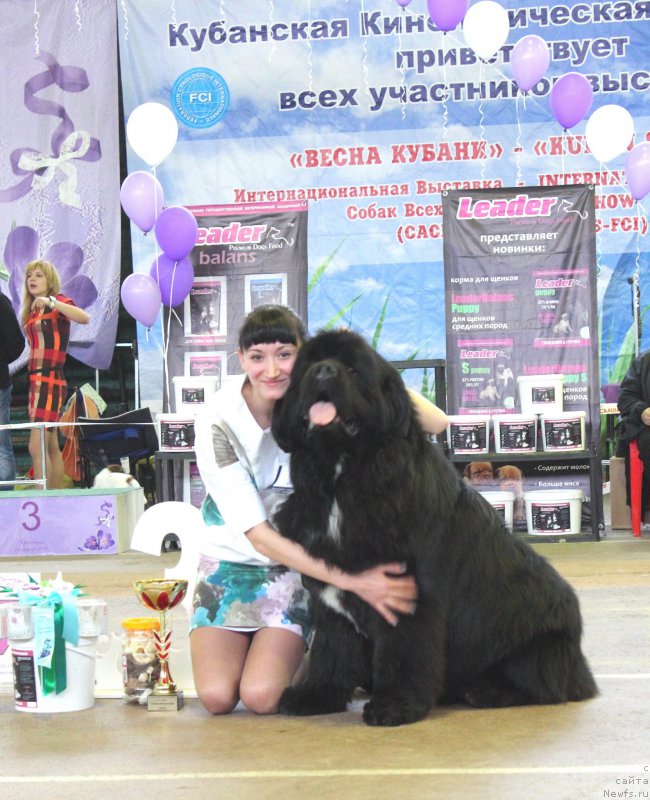 Фотография № 180362