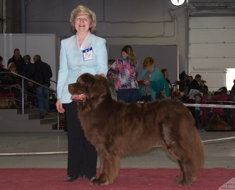 Фотография № 180365