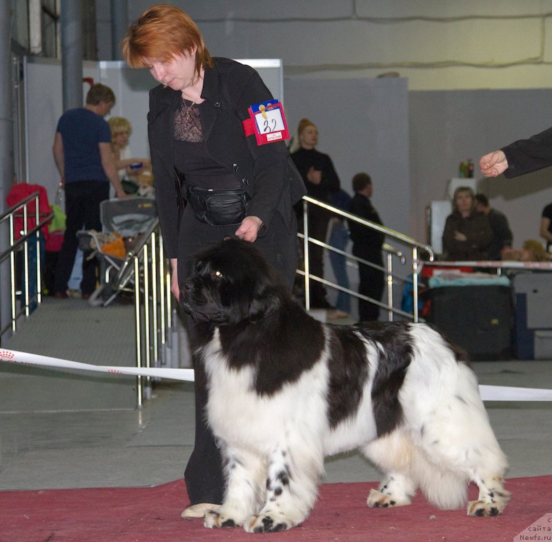 Фотография № 180366