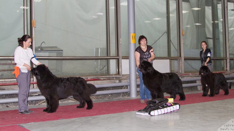 Фотография № 180369