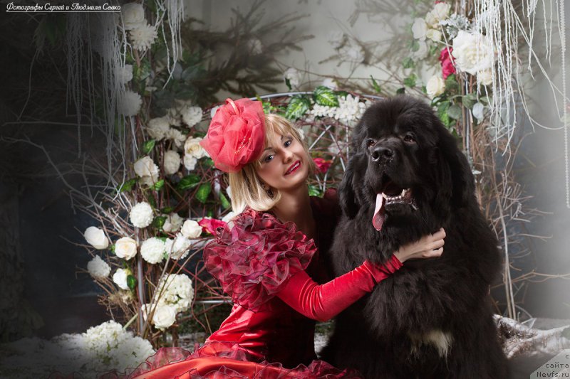 Фотография № 180476