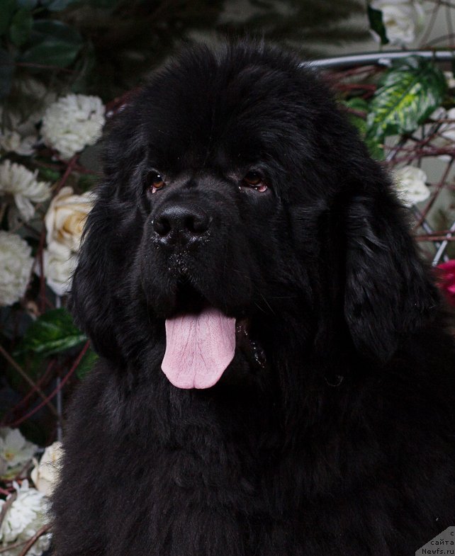 Фотография № 180481