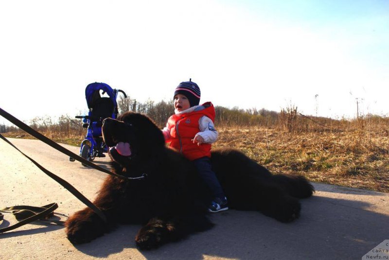 Фотография № 180490