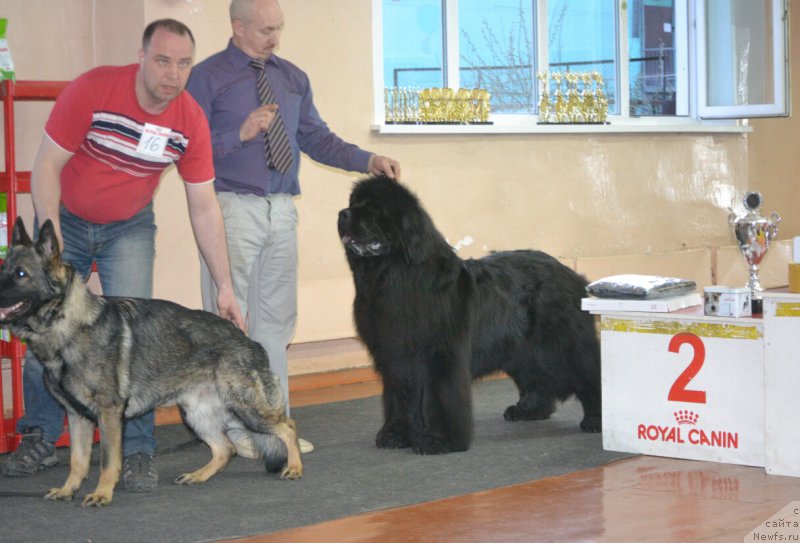 Фотография № 180501