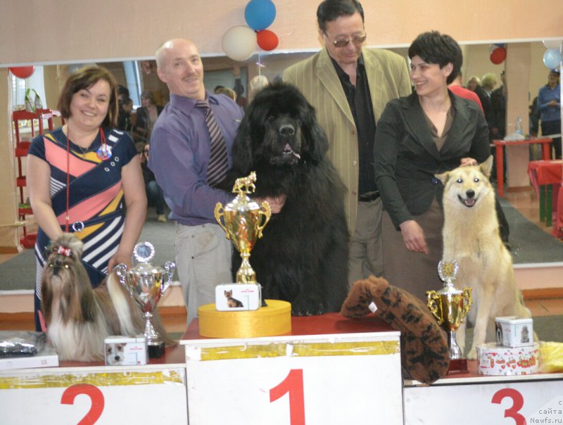 Фотография № 180504