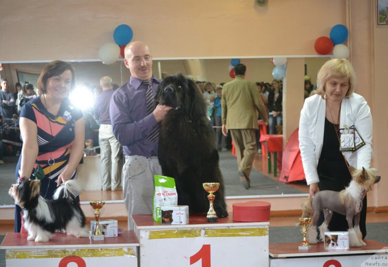 Фотография № 180506