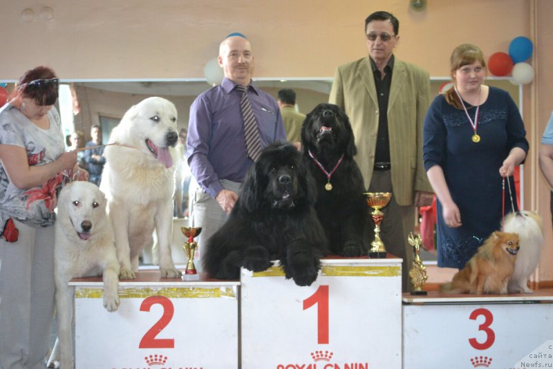 Фотография № 180507