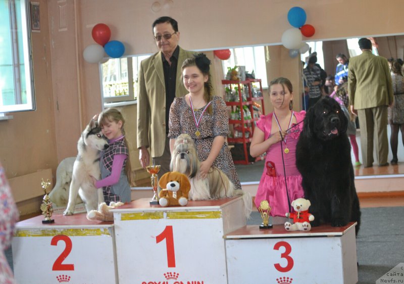 Фотография № 180508