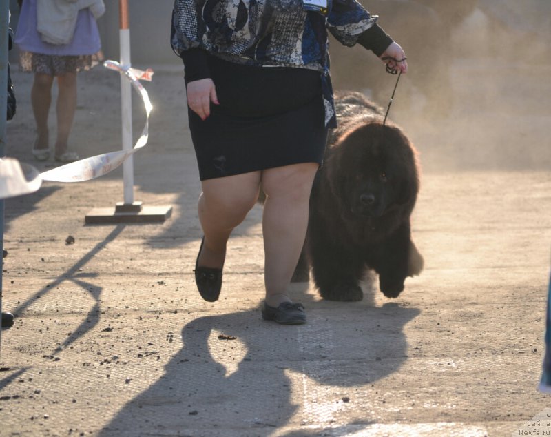 Фотография № 180512