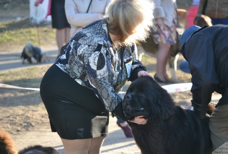 Фотография № 180513