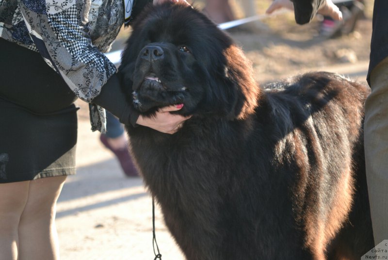 Фотография № 180514