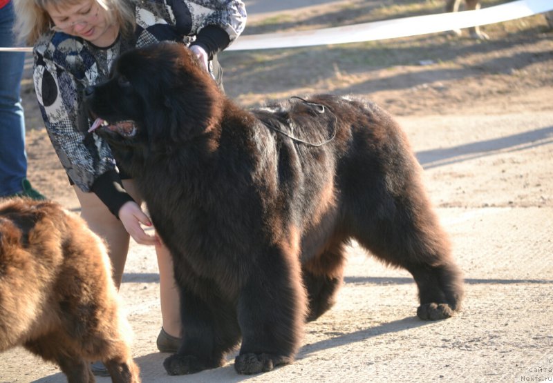 Фотография № 180515