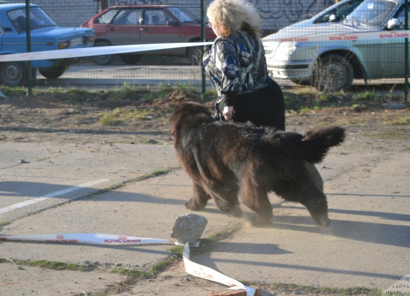 Фотография № 180518