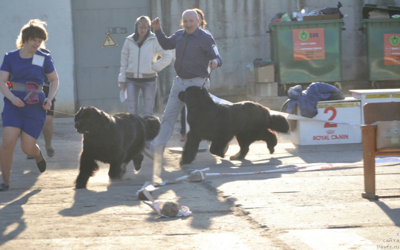 Фотография № 180525