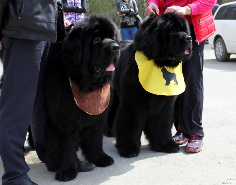 Фотография № 180545