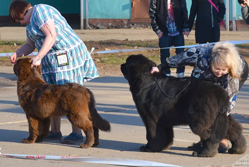 Фотография № 180547