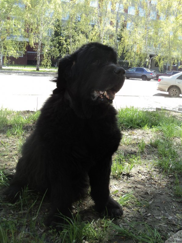 Фотография № 180560