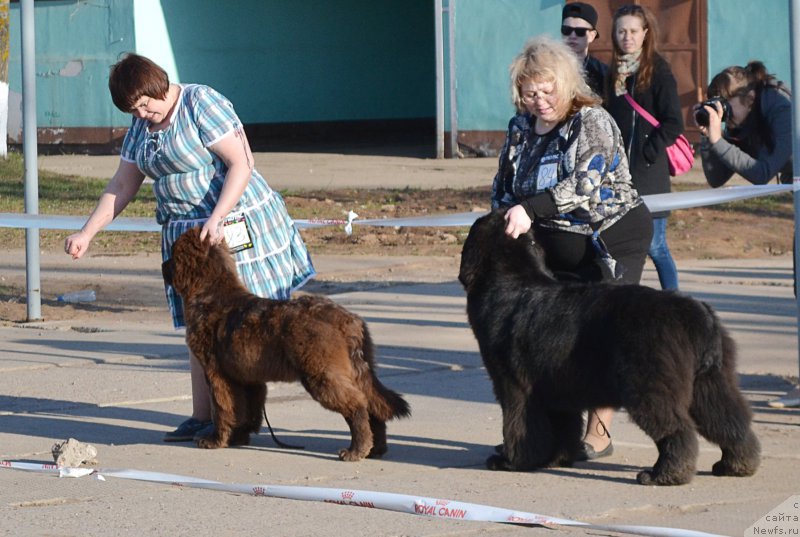 Фотография № 180566