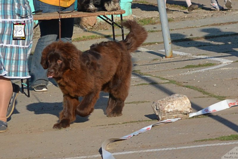 Фотография № 180567