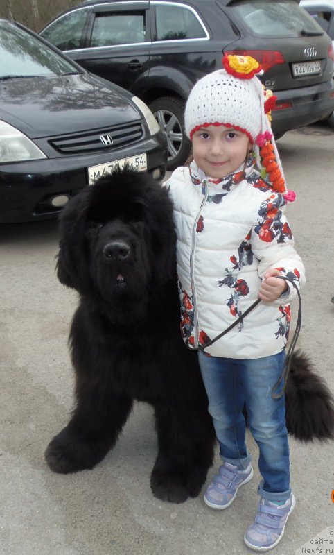 Фотография № 180574