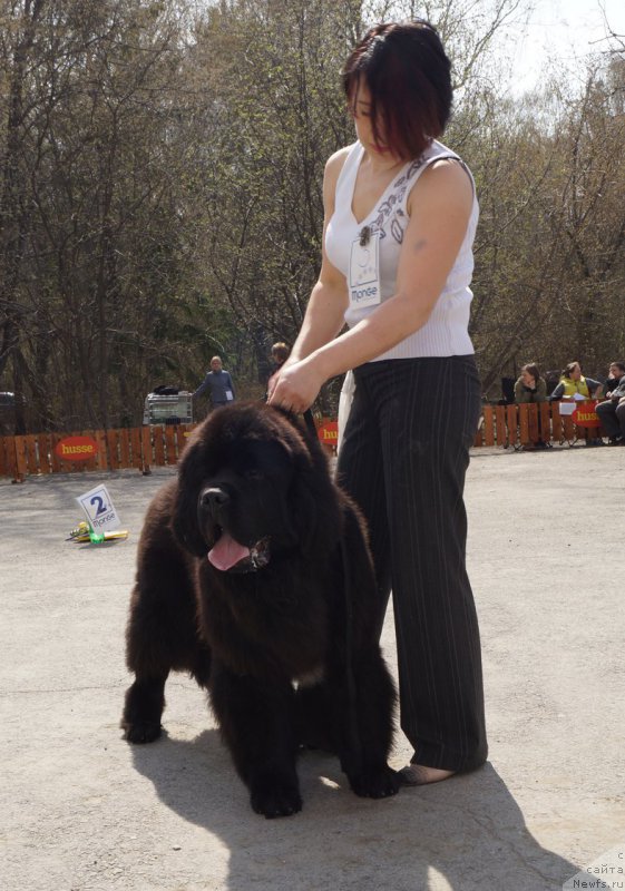 Фотография № 180585