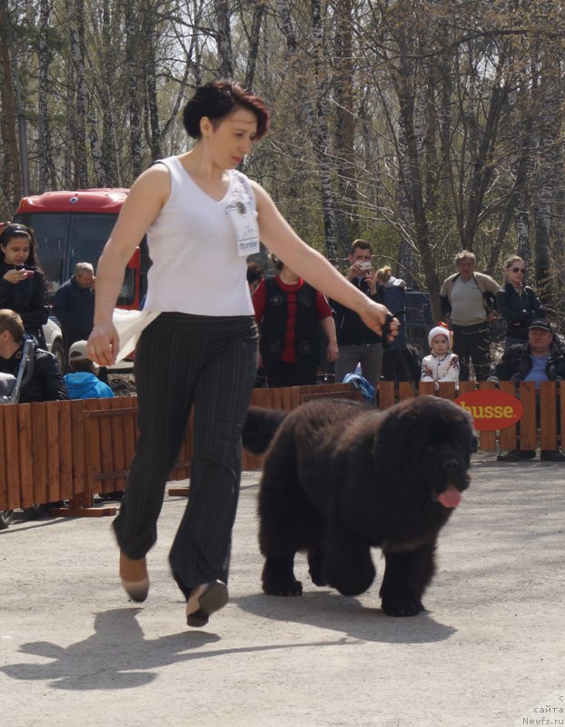 Фотография № 180587