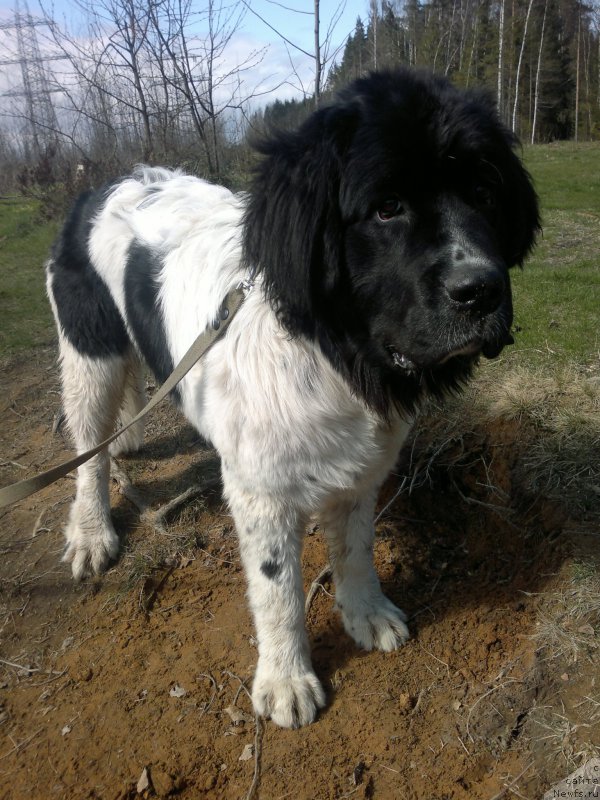 Фото: Ольга Староседых