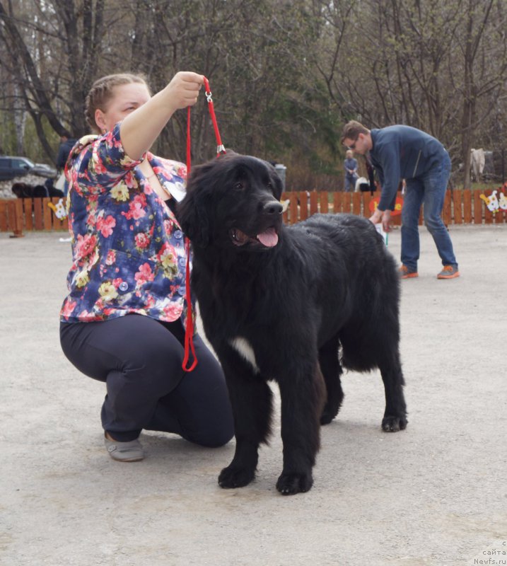 Фотография № 180600