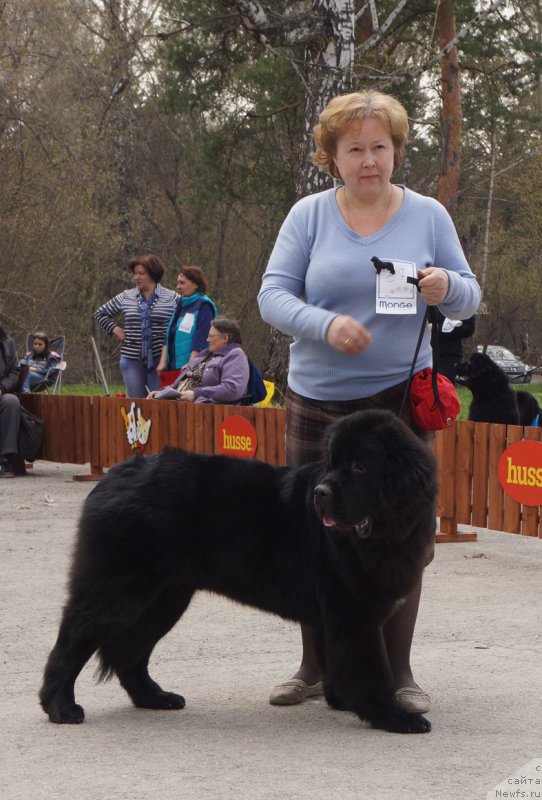 Фотография № 180603