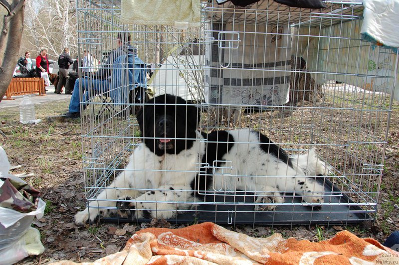 Фотография № 180604