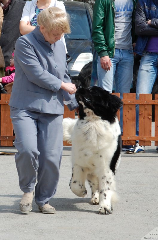 Фотография № 180606