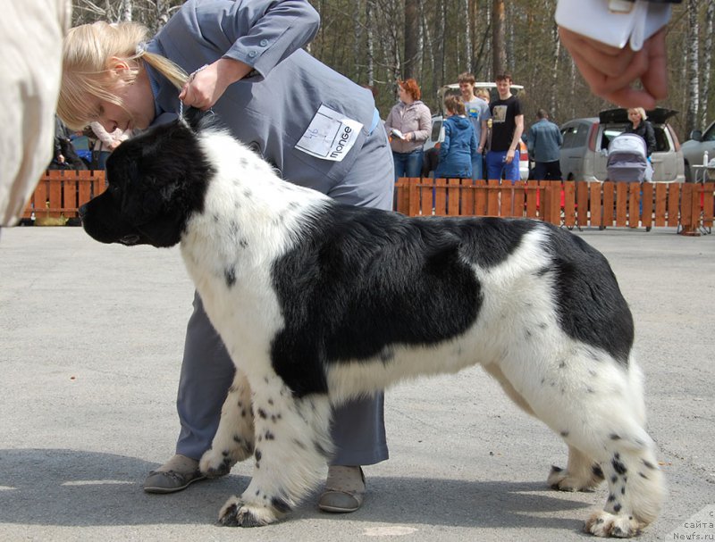 Фотография № 180608