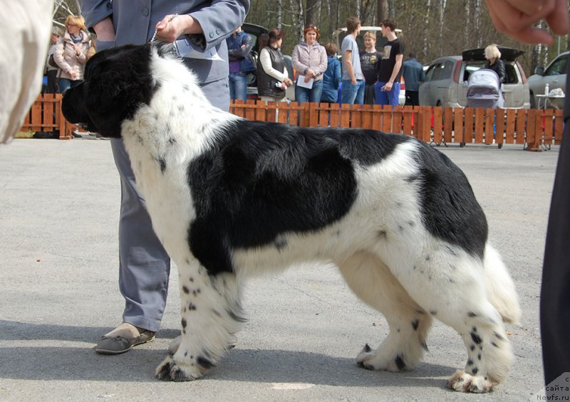 Фотография № 180609