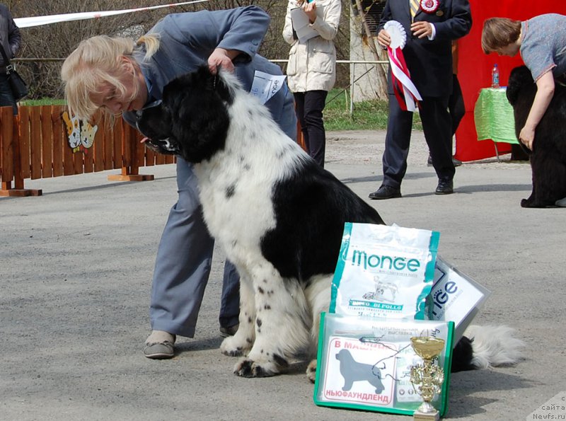 Фотография № 180610