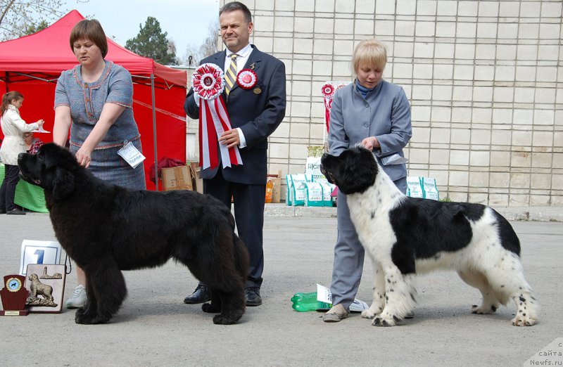 Фотография № 180612