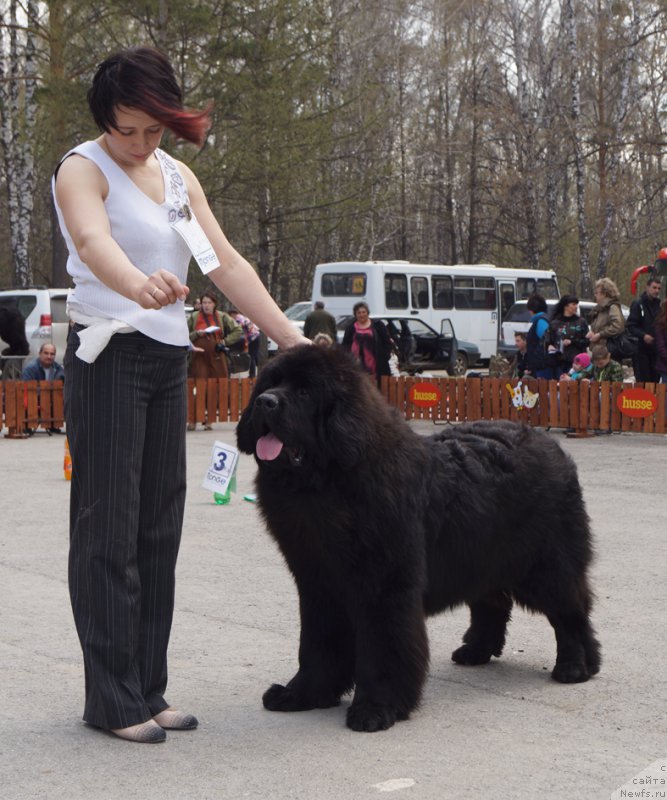 Фотография № 180623