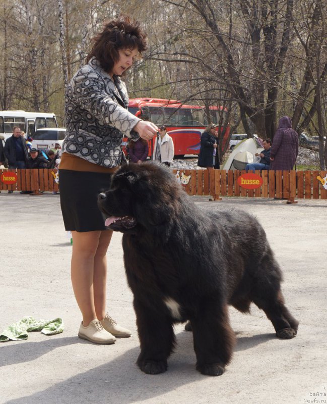 Фотография № 180624