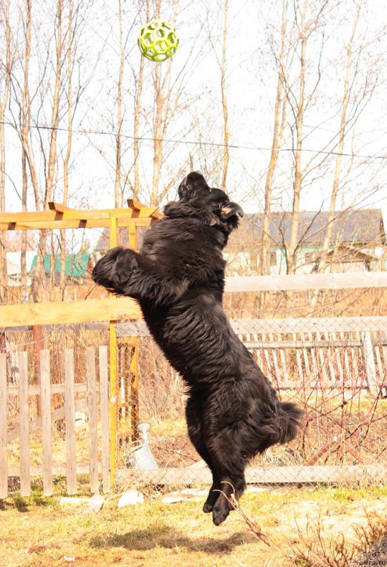 Фотография № 180633