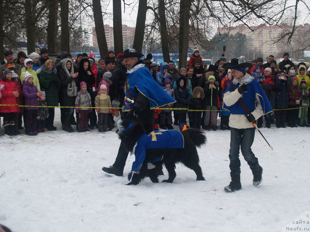 Фотография № 180634