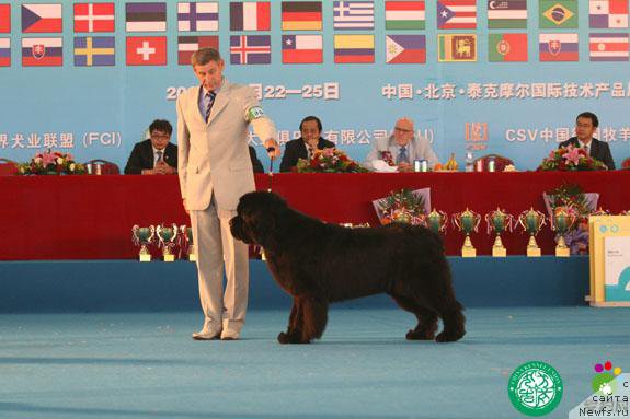 Фотография № 180635