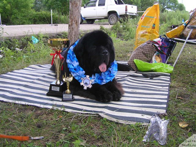 Фотография № 180637