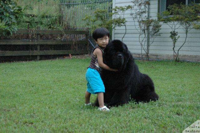 Фотография № 180638